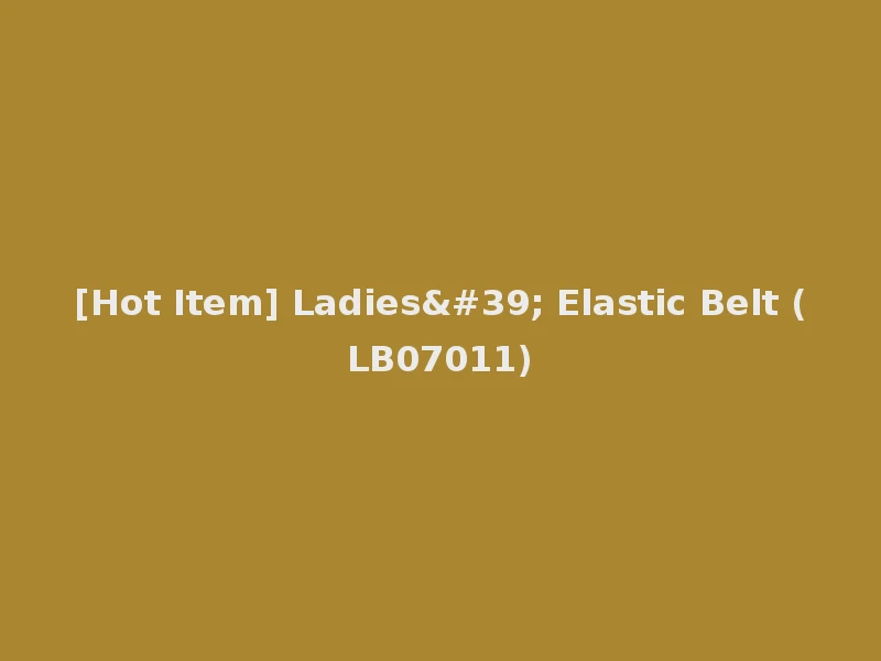[Hot Item] Ladies' Elastic Belt (LB07011)