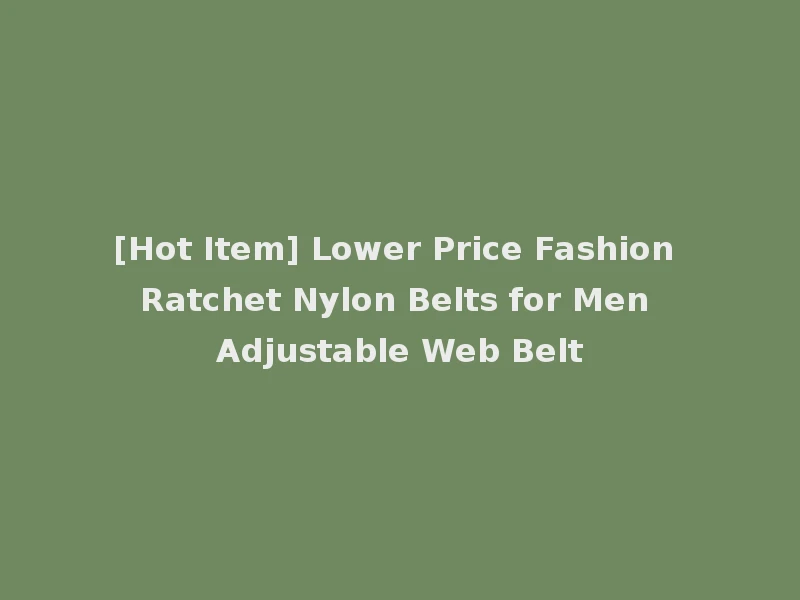 [Hot Item] Lower Price Fashion Ratchet Nylon Belts for Men Adjustable Web Belt
