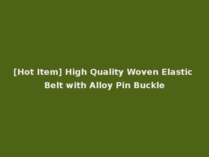 [Hot Item] High Quality Woven Elastic Belt with Alloy Pin Buckle