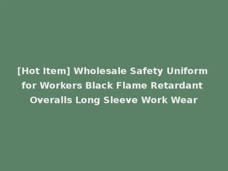[Hot Item] Wholesale Safety Uniform for Workers Black Flame Retardant Overalls Long Sleeve Work Wear