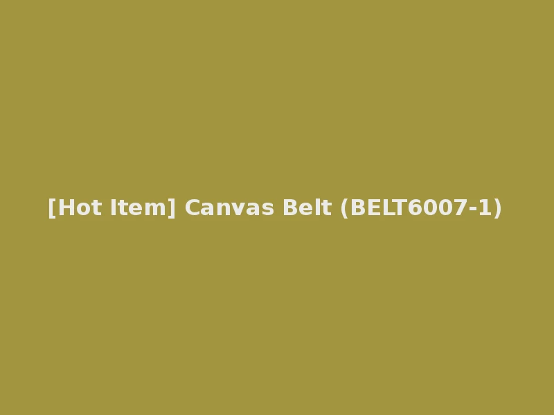 [Hot Item] Canvas Belt (BELT6007-1)