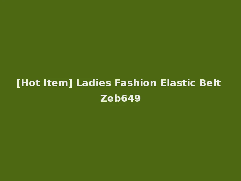 [Hot Item] Ladies Fashion Elastic Belt Zeb649