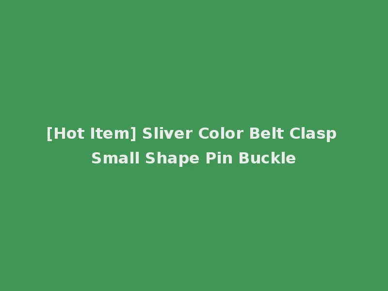[Hot Item] Sliver Color Belt Clasp Small Shape Pin Buckle