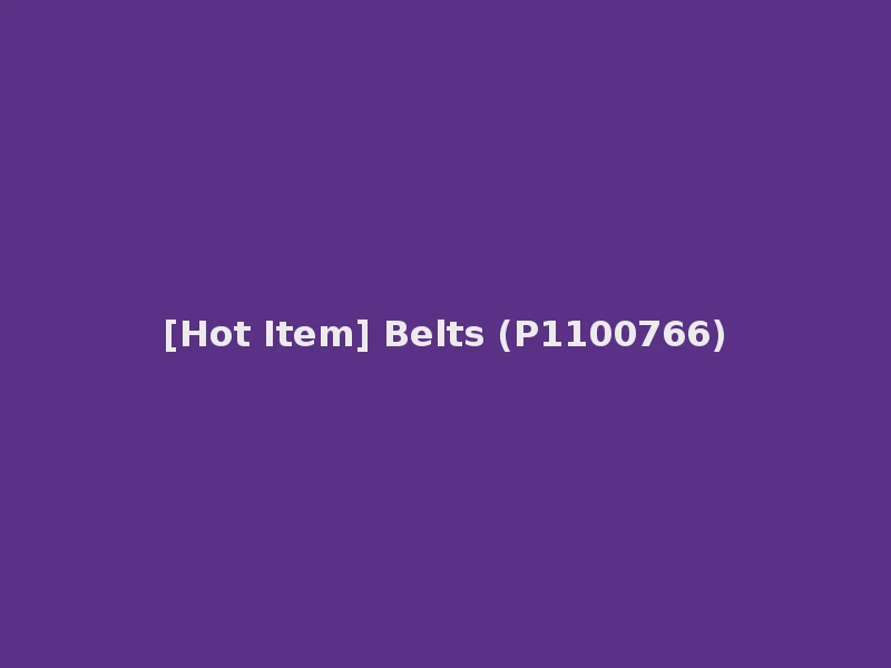 [Hot Item] Belts (P1100766)