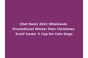 [Hot Item] 2021 Wholesale Promotional Winter Pets Christmas Scarf Santa′ S Cap for Cats Dogs