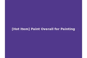 [Hot Item] Paint Overall for Painting