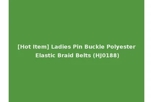 [Hot Item] Ladies Pin Buckle Polyester Elastic Braid Belts (HJ0188)