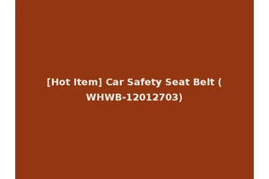 [Hot Item] Car Safety Seat Belt (WHWB-12012703)