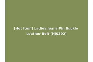 [Hot Item] Ladies Jeans Pin Buckle Leather Belt (HJ0392)