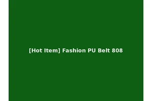 [Hot Item] Fashion PU Belt 808