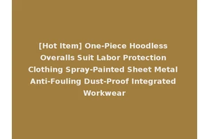 [Hot Item] One-Piece Hoodless Overalls Suit Labor Protection Clothing Spray-Painted Sheet Metal Anti-Fouling Dust-Proof Integrated Workwear