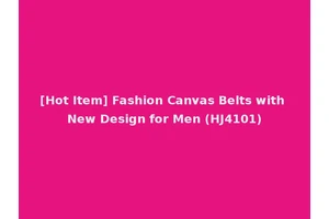 [Hot Item] Fashion Canvas Belts with New Design for Men (HJ4101)