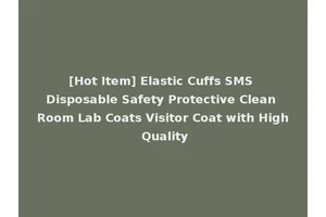 [Hot Item] Elastic Cuffs SMS Disposable Safety Protective Clean Room Lab Coats Visitor Coat with High Quality