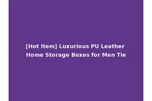 [Hot Item] Luxurious PU Leather Home Storage Boxes for Men Tie