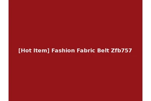 [Hot Item] Fashion Fabric Belt Zfb757