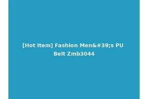 [Hot Item] Fashion Men's PU Belt Zmb3044