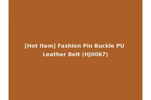 [Hot Item] Fashion Pin Buckle PU Leather Belt (HJ0067)