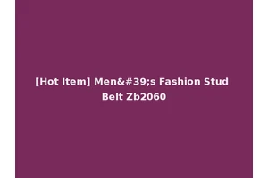[Hot Item] Men's Fashion Stud Belt Zb2060