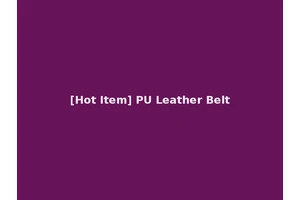 [Hot Item] PU Leather Belt