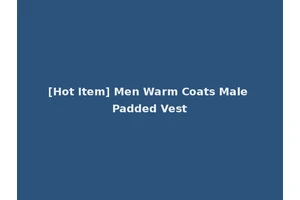[Hot Item] Men Warm Coats Male Padded Vest