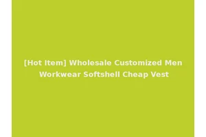 [Hot Item] Wholesale Customized Men Workwear Softshell Cheap Vest