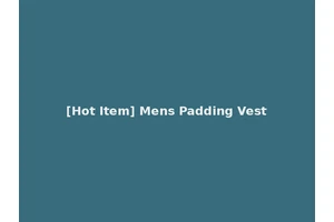 [Hot Item] Mens Padding Vest
