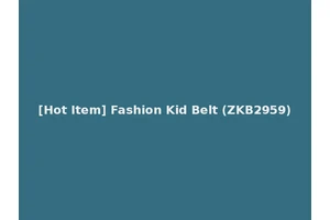 [Hot Item] Fashion Kid Belt (ZKB2959)