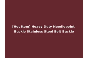 [Hot Item] Heavy Duty Needlepoint Buckle Stainless Steel Belt Buckle