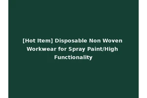 [Hot Item] Disposable Non Woven Workwear for Spray Paint/High Functionality