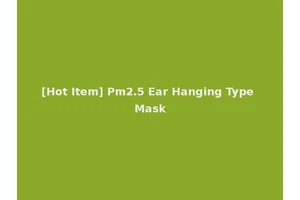 [Hot Item] Pm2.5 Ear Hanging Type Mask