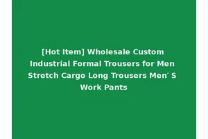 [Hot Item] Wholesale Custom Industrial Formal Trousers for Men Stretch Cargo Long Trousers Men′ S Work Pants