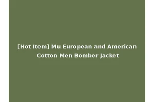 [Hot Item] Mu European and American Cotton Men Bomber Jacket