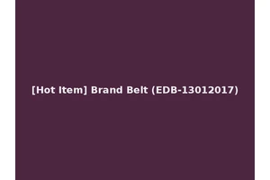 [Hot Item] Brand Belt (EDB-13012017)