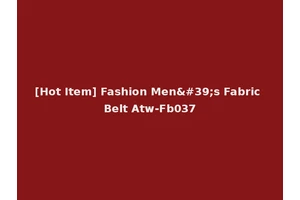 [Hot Item] Fashion Men's Fabric Belt Atw-Fb037