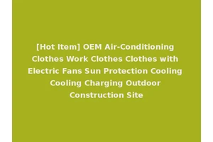 [Hot Item] OEM Air-Conditioning Clothes Work Clothes Clothes with Electric Fans Sun Protection Cooling Cooling Charging Outdoor Construction Site