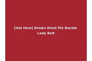 [Hot Item] Brown Rivet Pin Buckle Lady Belt