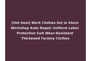 [Hot Item] Work Clothes Set in Stock Workshop Auto Repair Uniform Labor Protection Suit Wear-Resistant Thickened Factory Clothes
