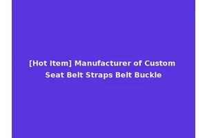[Hot Item] Manufacturer of Custom Seat Belt Straps Belt Buckle