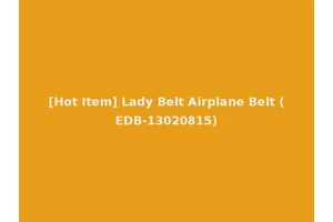 [Hot Item] Lady Belt Airplane Belt (EDB-13020815)