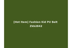 [Hot Item] Fashion Kid PU Belt Zkb2842