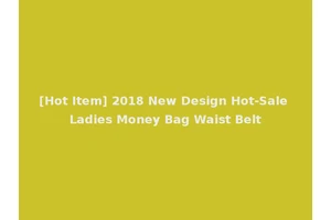 [Hot Item] 2018 New Design Hot-Sale Ladies Money Bag Waist Belt
