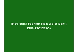 [Hot Item] Fashion Man Waist Belt (EDB-13012205)