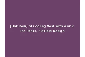 [Hot Item] Gl Cooling Vest with 4 or 2 Ice Packs, Flexible Design