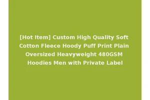[Hot Item] Custom High Quality Soft Cotton Fleece Hoody Puff Print Plain Oversized Heavyweight 480GSM Hoodies Men with Private Label