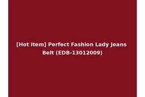 [Hot Item] Perfect Fashion Lady Jeans Belt (EDB-13012009)