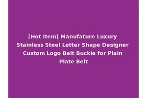 [Hot Item] Manufature Luxury Stainless Steel Letter Shape Designer Custom Logo Belt Buckle for Plain Plate Belt