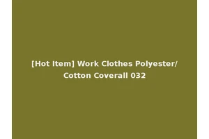 [Hot Item] Work Clothes Polyester/Cotton Coverall 032