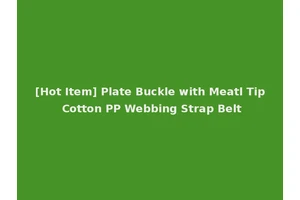[Hot Item] Plate Buckle with Meatl Tip Cotton PP Webbing Strap Belt