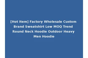 [Hot Item] Factory Wholesale Custom Brand Sweatshirt Low MOQ Trend Round Neck Hoodie Outdoor Heavy Men Hoodie