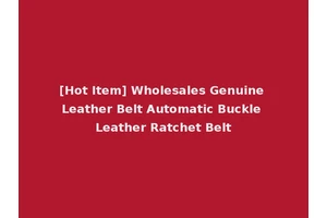 [Hot Item] Wholesales Genuine Leather Belt Automatic Buckle Leather Ratchet Belt